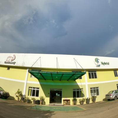 Sabah Softwood